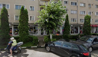 Doar Lemn Strada Tudor Vladimirescu