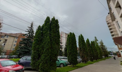 Dr. Lenkei Bulevardul Timișoarei 33