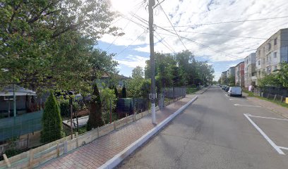 ECOPLANT SEM S.R.L. Strada Nicolae Iorga 21