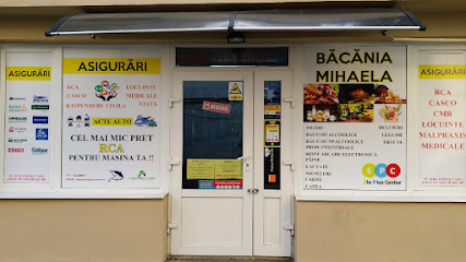 ELA PLUS CENTER SRL (BACANIA MIHAELA) Strada Vasile Goldiș BL. 2A