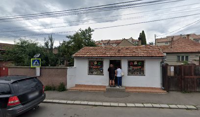 Ecy s.r.l Strada Nouă