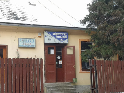 Electric House Strada Școlii 9