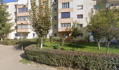 Ervali Aler Micro Aleea Plopilor 3