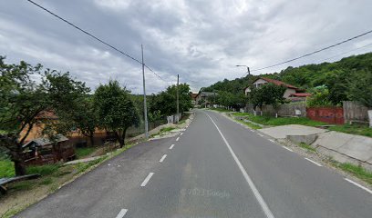 FITO DEC SRL Strada Sfântul Nicolae