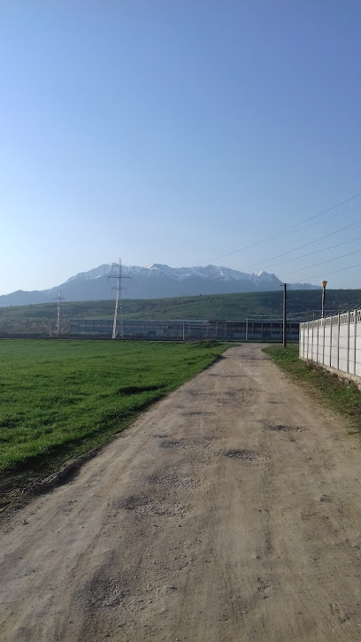 FOM COMPANY Al. Uzinei