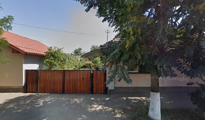 Farel Reghin Strada Apalinei 61