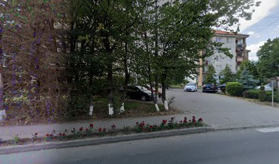 Farmacia Arthemisa Str. Cartier Bekecs D