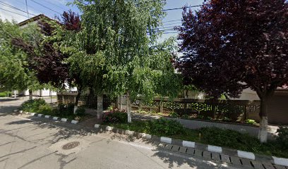 Farmacia Eledanis Str. I.C. Visarion O2