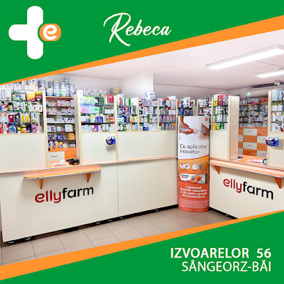 Farmacia Ellyfarm - Rebeca Strada Izvoarelor 56