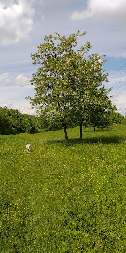 Ferma Barny Strada Ștrandului 37