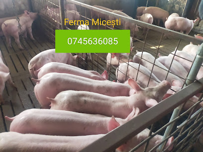 Ferma Micești Argeș DN73