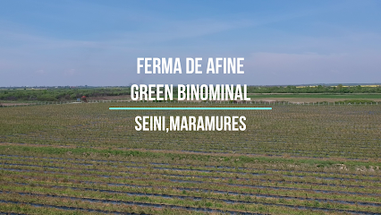 Ferma de afine Green Binominal E58