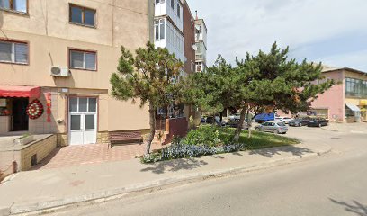 Floraria Babadag Strada Republicii 100