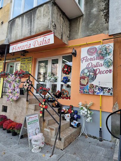 Floraria Dalia Bistrita Strada Năsăudului 5