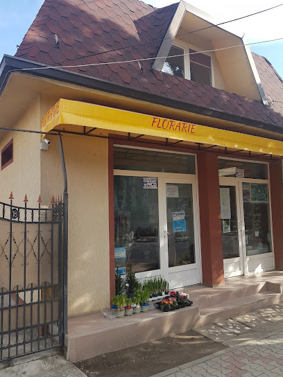 Florăria Decoflora DN10 20