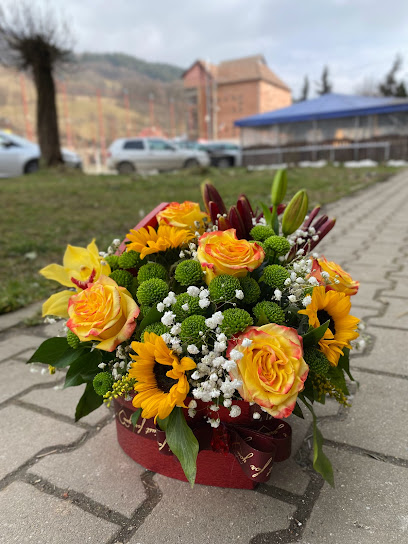 Florăria ElysDana Strada Republicii 12
