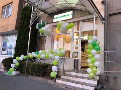 Floraria Iedera Strada Stadionului 1B