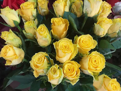 Floraria Irina Strada Vasile Alecsandri 4