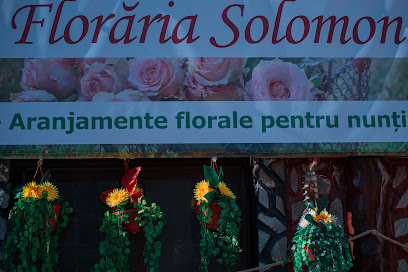 Floraria Solomon Strada F. Griselini 33