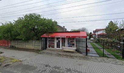 Florarie 077120 Jilava