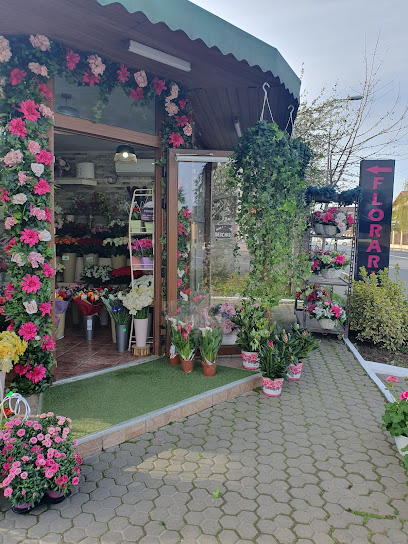 Florarie Elis Bulevardul Pipera 34e
