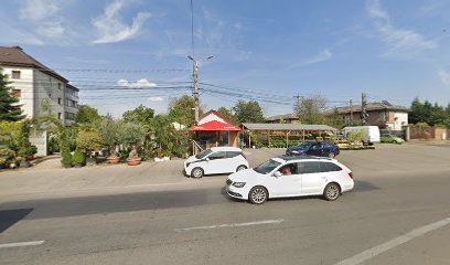 Florărie Mogoșoaia