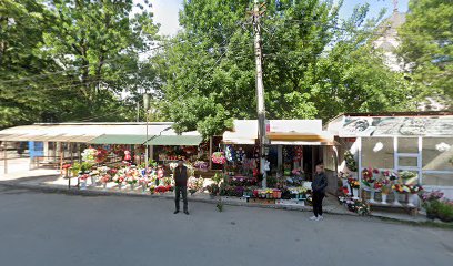 Florărie Strada Popa Șapcă