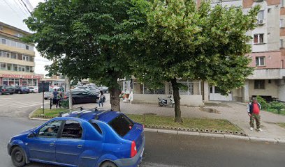 Florarie Strada Victoriei D7