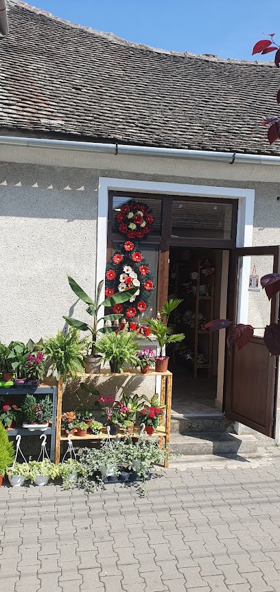 GALIF FLOWERS Strada Recaş 943