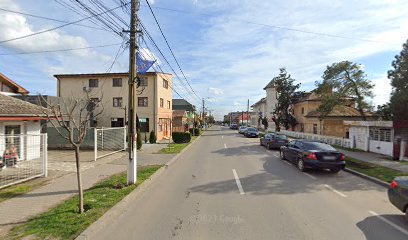 GINOLEX S.R.L. Str. Unirii