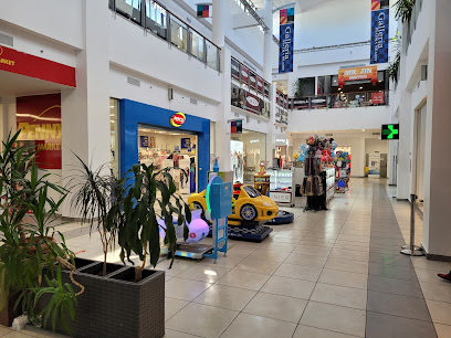 Galleria Piatra Neamț Strada Plăieșului Nr. 2