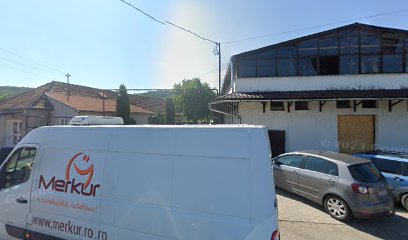 Genesis Str. Santandrei 164
