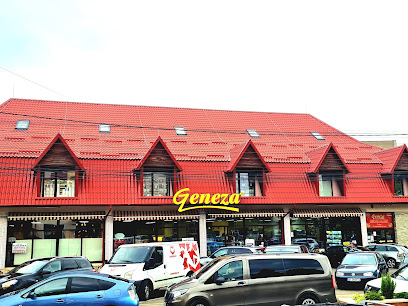 Geneza Str. Ing. Serafim Lungu 5