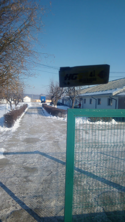 Genprod star Strada Cireșului 98