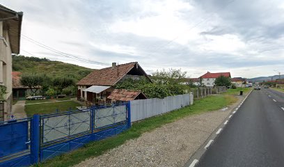 Geodan Trade Strada Gheorghe Doja 76