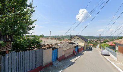 Georgescu Mihaela PFA Strada Viorelelor 2-20