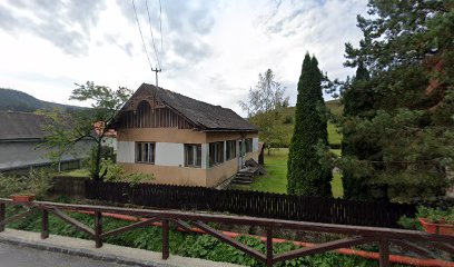 Gepida KFT Strada Carpați 17