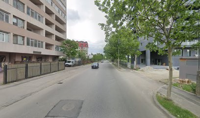 Ghiveci Shop Șoseaua Dobroești