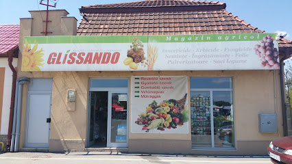 Glissando Salonta Piața Haiducilor 4