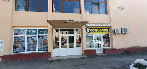 Gospodarul Ardud 447020