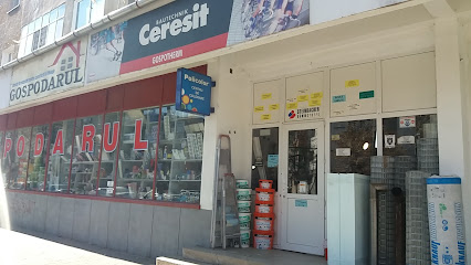 Gospodarul Bulevardul Dacia
