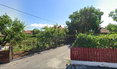 Gurgui Com Srl Str. Amaradia