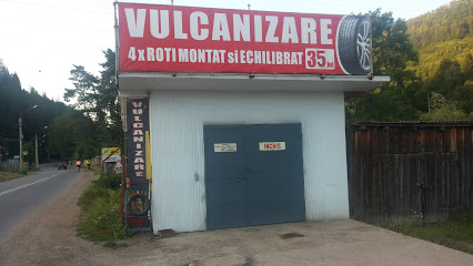 Ii Butnaru Vasile - Vulcanizare Strada Barajului fn