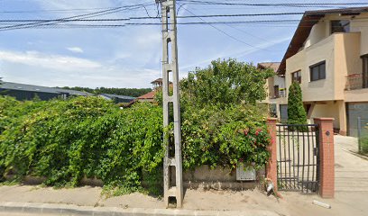 Item Hive Prelungirea Colentina 40B
