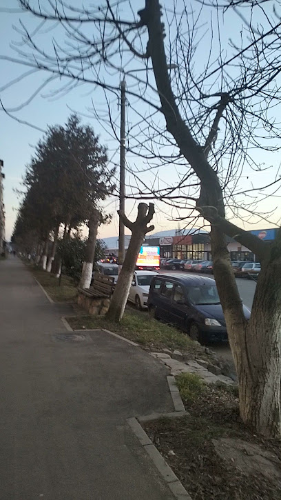 KiK Stei Strada Andrei Mureșanu