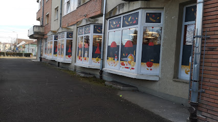 Kompakt Strada Ady Endre 9