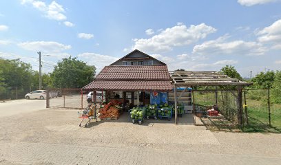 LARRYKOL SPEDITION Șoseaua Ploiesti Văleni nr 6E