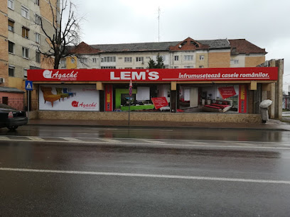 LEMS Lugoj in cadrul magazinului Agache