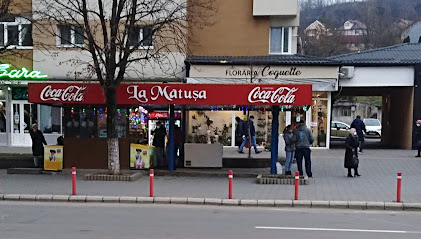La Mătușa E81 24