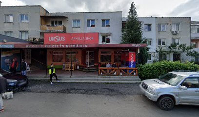 La doi paşi Aleea Minerilor 31